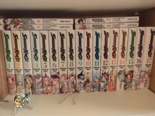 Shaman king completo
