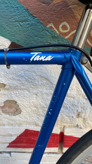 Bicicleta vintage de diseño