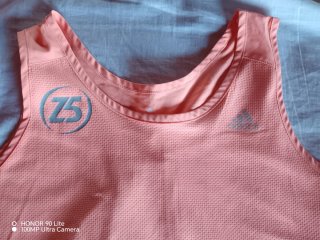 Camiseta Adidas Climate Salmón