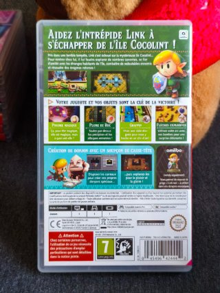 Zelda Link's Awakening Switch