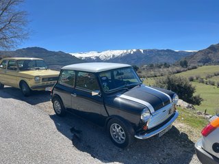 Rover MINI 1989
