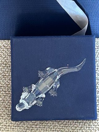 Caimán Swarovski Cristal