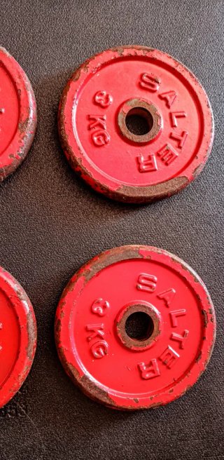 Discos pesas 12Kg Salter (30mm)