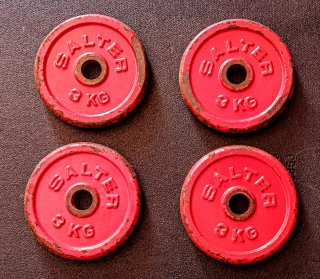 Discos pesas 12Kg Salter (30mm)