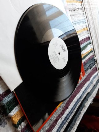 Paul Collins Beat - To Beat Or Not To Beat Vinilo