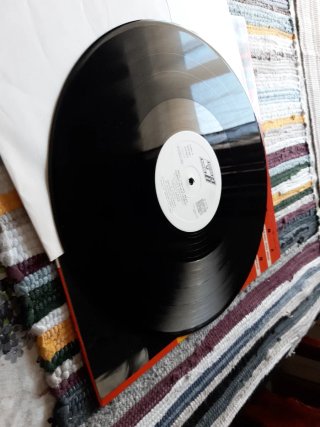 Paul Collins Beat - To Beat Or Not To Beat Vinilo