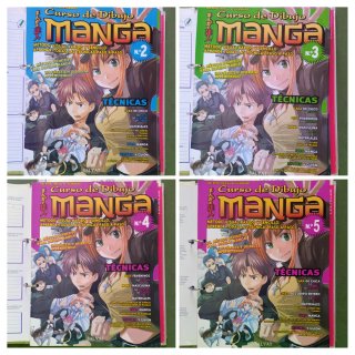 Curso de Dibujo - Manga Carpeta con 17 Fasciculos.