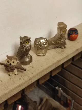 Cinco figuras de búhos coleccionables son cinco