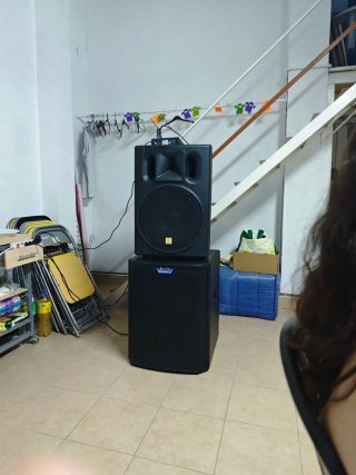 Subwoofer Alto TS18S