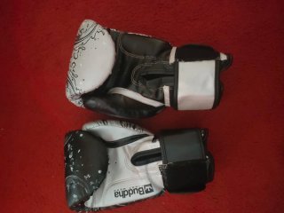 Guantes de boxeo Venum,everlast y buddha 14 oz