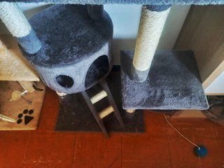 Castillos rascadores para gatos