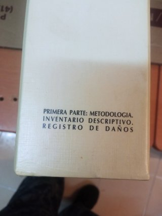 Recuperación Basílica de la Virgen Desamparados