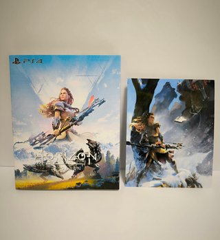 Funda Juego PS4 Horizon Zero Dawn Plastificada