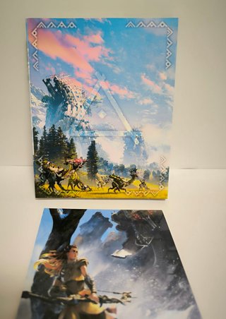 Funda Juego PS4 Horizon Zero Dawn Plastificada