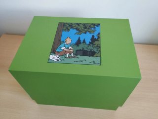 Figura Tintín en la hierba