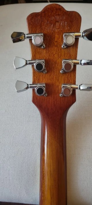Guitarra Jazz Panther Sunburst