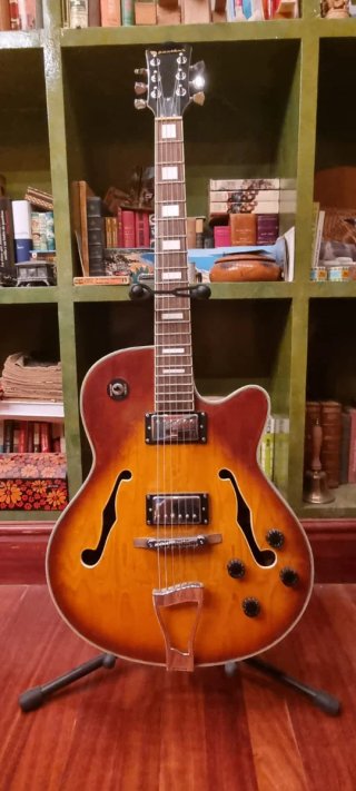 Guitarra Jazz Panther Sunburst