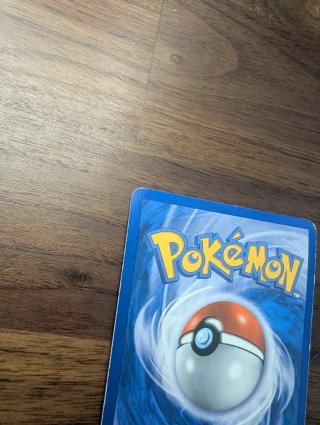 Carta Pokémon Gyarados Rumble HP130