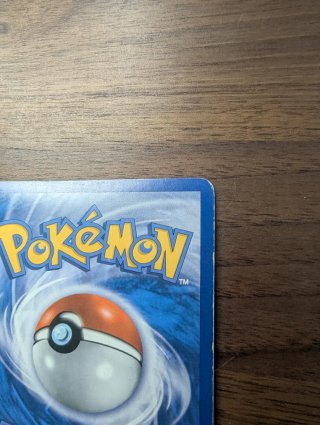 Carta Pokémon Gyarados Rumble HP130