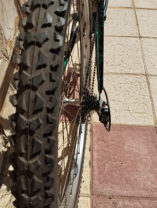 Bicicleta Montaña Wise Guy 21 Vel.