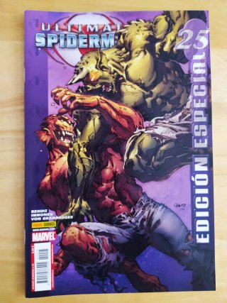 Ultimate Spiderman 25