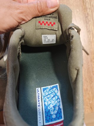 Vans Antelina Verde Hombre
