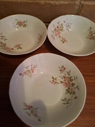 Set 5 Ciotole Porcellana Bareuther Waldsassen