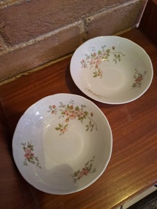 Set 5 Ciotole Porcellana Bareuther Waldsassen