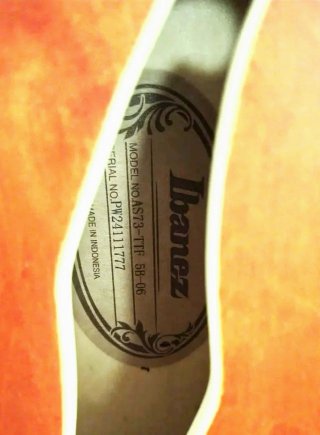 Guitarra Semi Hollow Ibanez AS73-TTF + Extras...