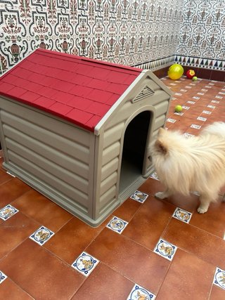 Casita para mascotas beige y roja