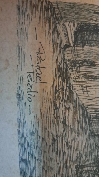 Rafael Tardio - plumilla sobre papel