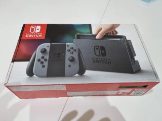 Nintendo Switch Negra y Gris
