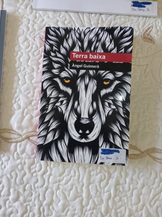 Llibres