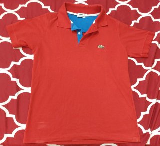 10 Camisetas Ck, Armani, La Coste, Hollister...
