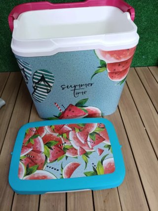Life Story IML - Refrigerador portátil de 29 L