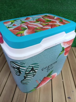 Life Story IML - Refrigerador portátil de 29 L