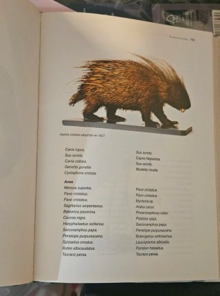 Libro museo historia natural