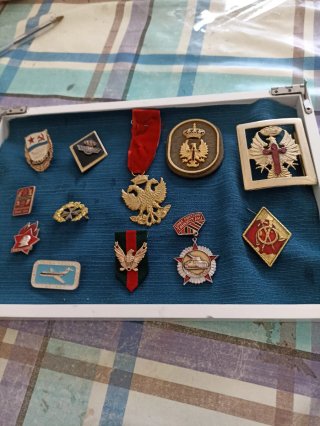 Lote Insignias Militares y Hebilla