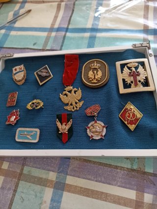 Lote Insignias Militares y Hebilla