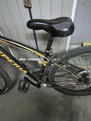 Bicicleta de montaña Esperia