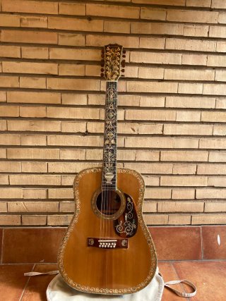 Guitarra Acústica 12 Cuerdas Alta Gama