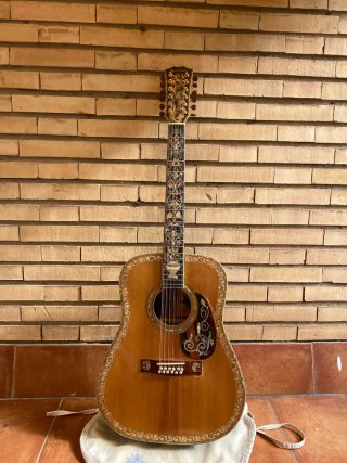 Guitarra Acústica 12 Cuerdas Alta Gama