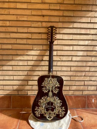 Guitarra Acústica 12 Cuerdas Alta Gama