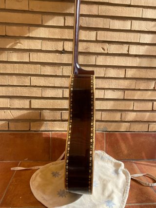 Guitarra Acústica 12 Cuerdas Alta Gama