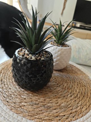 Piñas decorativas (2 unidades)