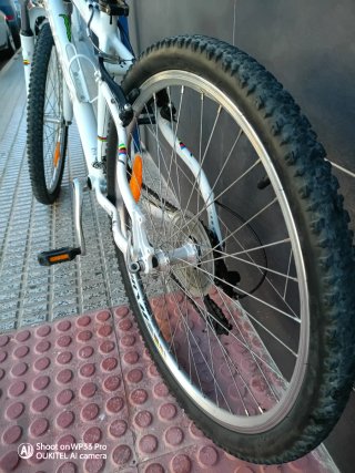 Bicicleta de Montaña Orbea Blanca