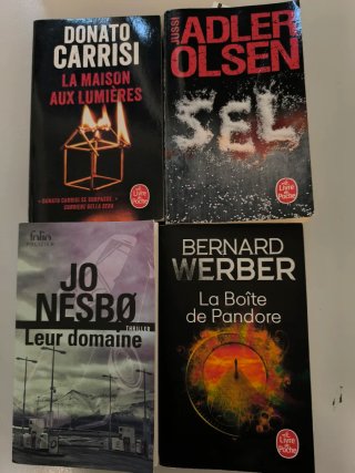 Lote libros frances