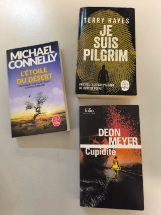 Lote libros frances