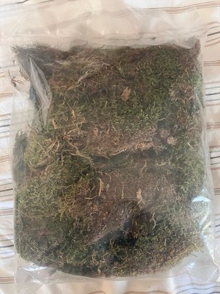 Todos productos necesarios para un terrario