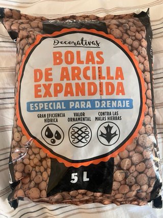 Todos productos necesarios para un terrario